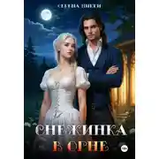 Постер книги Снежинка в огне