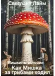 Светлана Лайм - Мишкины истории. Как Мишка за грибами ходил