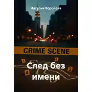 Постер книги След без имени