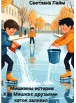 Светлана Лайм - Мишкины истории. Как Мишка с друзьями каток заливал