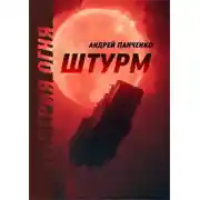 Постер книги Штурм