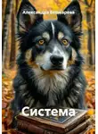 Александра Бешкарева - Система