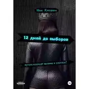 Постер книги 12 дней до выборов