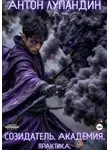 Антон Лупандин - Созидатель. Академия. Практика