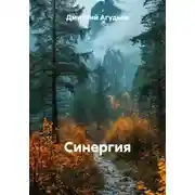Постер книги Синергия