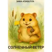 Постер книги Солнечный ветер