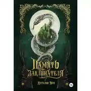 Постер книги Память заклинателя