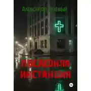 Постер книги Последняя инстанция