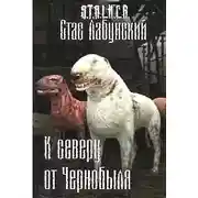 Постер книги К северу от Чернобыля