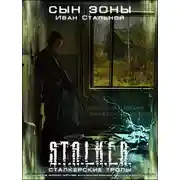 Постер книги Сын Зоны