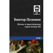 Постер книги Жизнь и приключения сарая номер XII