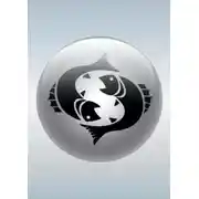 Постер книги Рыбы (19.02 – 20.03)