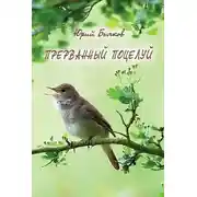 Постер книги Прерванный поцелуй