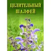 Постер книги Целительный шалфей