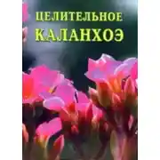 Постер книги Целительное каланхоэ
