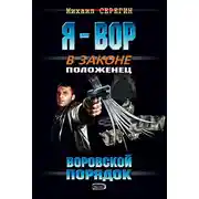 Постер книги Воровской порядок