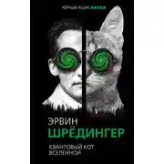 Постер книги Квантовый кот вселенной