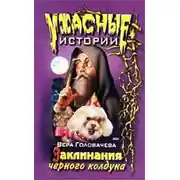 Постер книги Заклинание черного мага