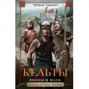 Постер книги Кельты. Воины и маги