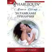 Постер книги За рамками приличия