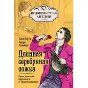 Постер книги Длинная серебряная ложка. Приключения британцев в Трансильвании