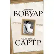 Постер книги Аллюзия любви