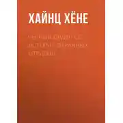 Постер книги Черный орден СС. История охранных отрядов