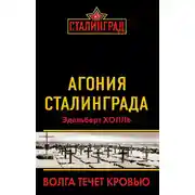 Постер книги Агония Сталинграда. Волга течет кровью