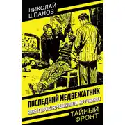 Постер книги Последний медвежатник. Новые приключения Нила Кручинина