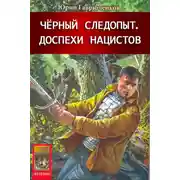 Постер книги Доспехи нацистов