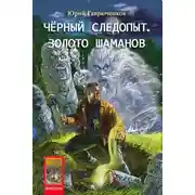 Постер книги Золото шаманов