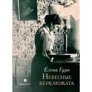 Постер книги Небесные верблюжата