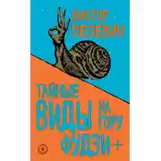 Постер книги Тайные виды на гору Фудзи + бонус-трек «Столыпин»