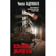 Постер книги Испытание добродетели