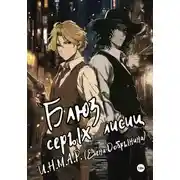 Постер книги Блюз серых лисиц