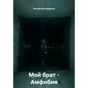 Постер книги Мой брат – Амфибия