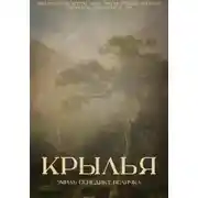 Постер книги Крылья