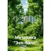 Постер книги Методика «Эко-балл»