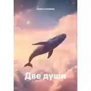 Постер книги Две души