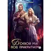 Постер книги Боевой маг под прикрытием