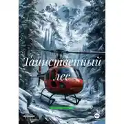 Постер книги Таинственный лес