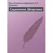 Постер книги Социология. Шпаргалка