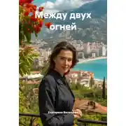Постер книги Между двух огней