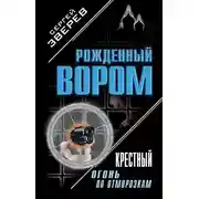Постер книги Крестный. Огонь по отморозкам