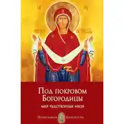 Постер книги Под покровом Богородицы. Мир чудотворных икон