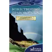 Постер книги Божественный правопорядок. Истинный смысл жизненных явлений