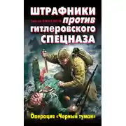Постер книги Штрафники против гитлеровского спецназа. Операция «Черный туман»