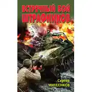 Постер книги Встречный бой штрафников