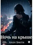 Andy Smith - Ночь на крыше