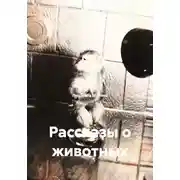 Постер книги Рассказы о животных